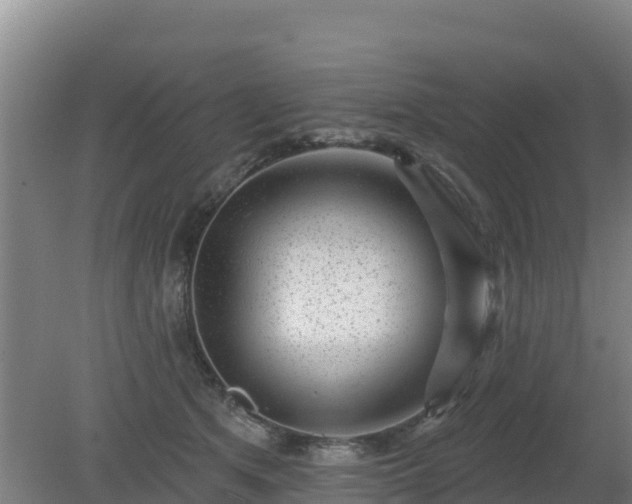 X0000080200513200612152043