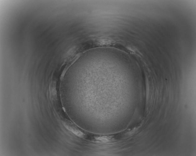 X0000080200516200612152043