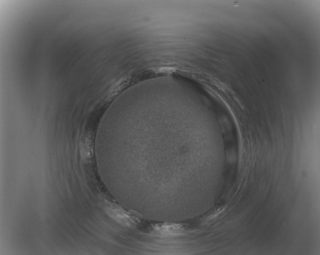 X0000080200517200612152043