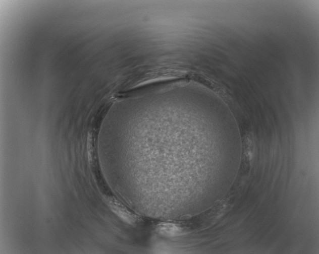 X0000080200519200612152043