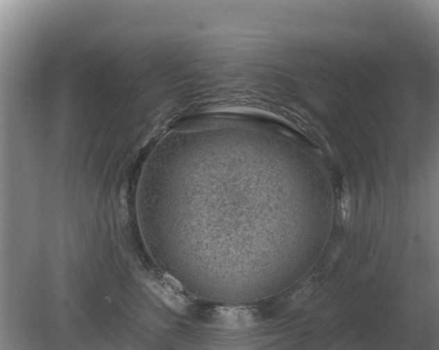 X0000080200520200612152043