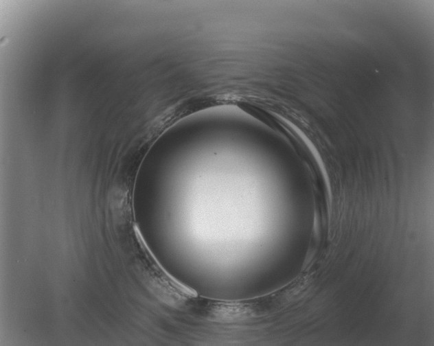 X0000080200521200612152043