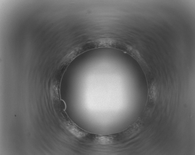 X0000080200522200612152043