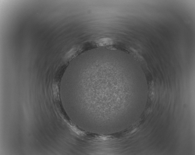 X0000080200523200612152043