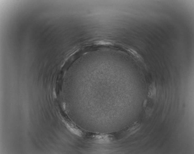 X0000080200524200612152043