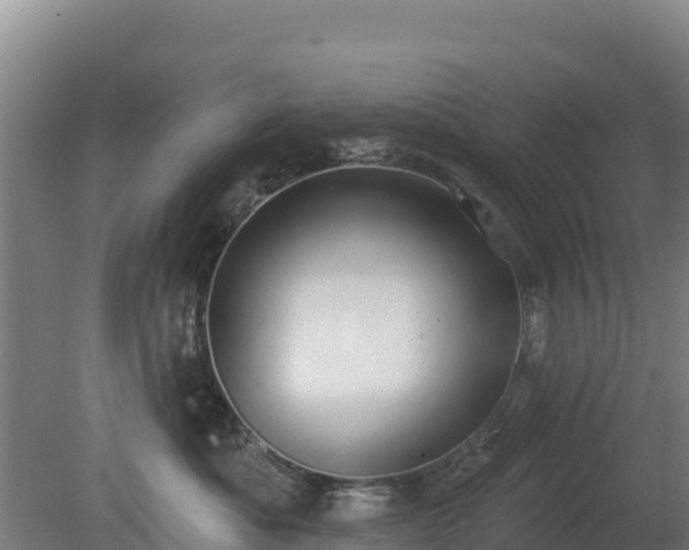 X0000080200525200612152043