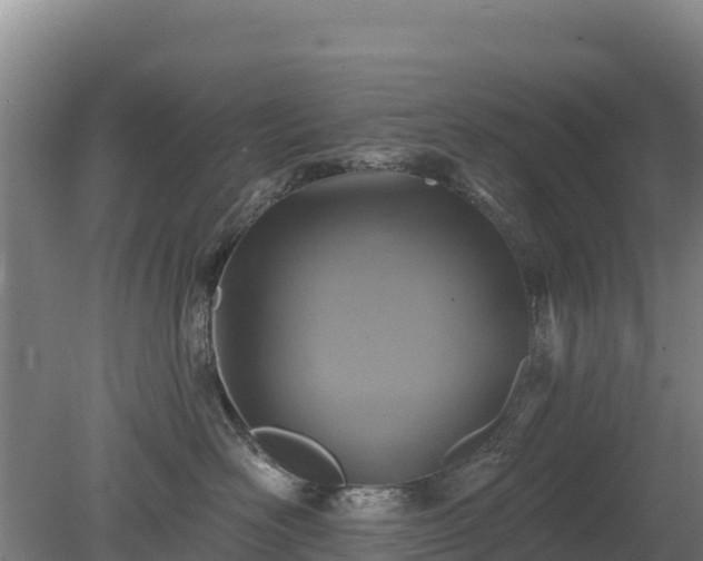 X0000080200526200612152043