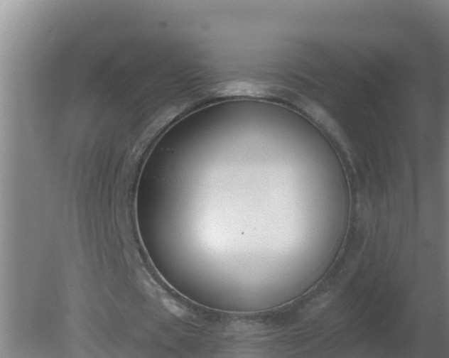 X0000080200529200612152042