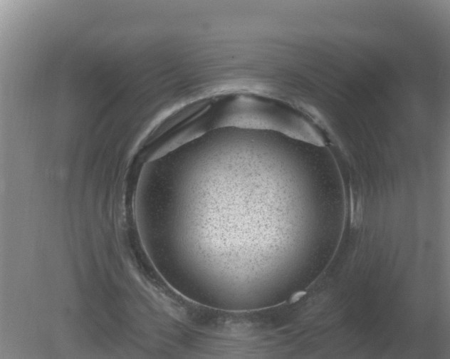 X0000080200531200612152042