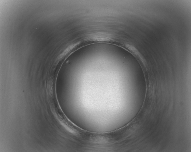 X0000080200533200612152042