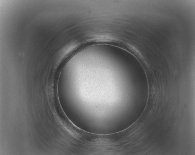 X0000080200535200612152042