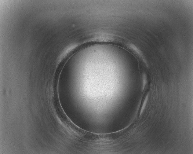 X0000080200536200612152042