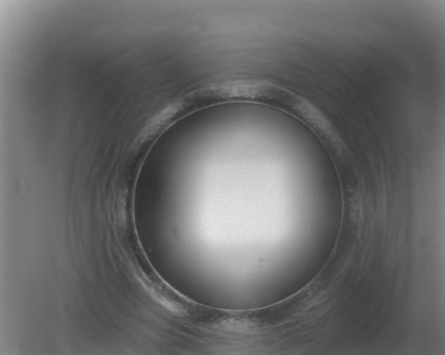 X0000080200537200612152042