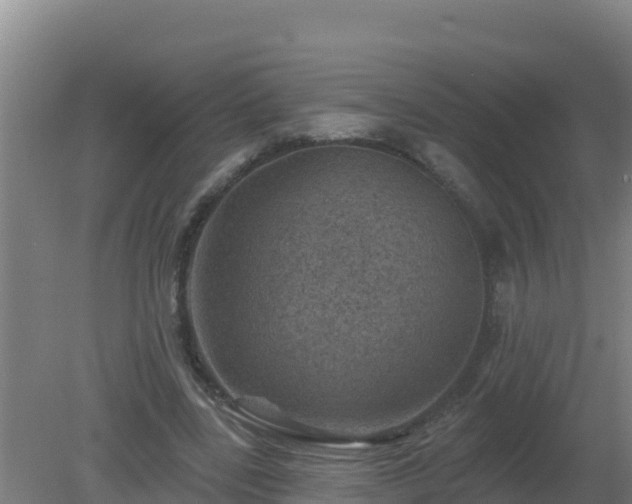 X0000080200539200612152042