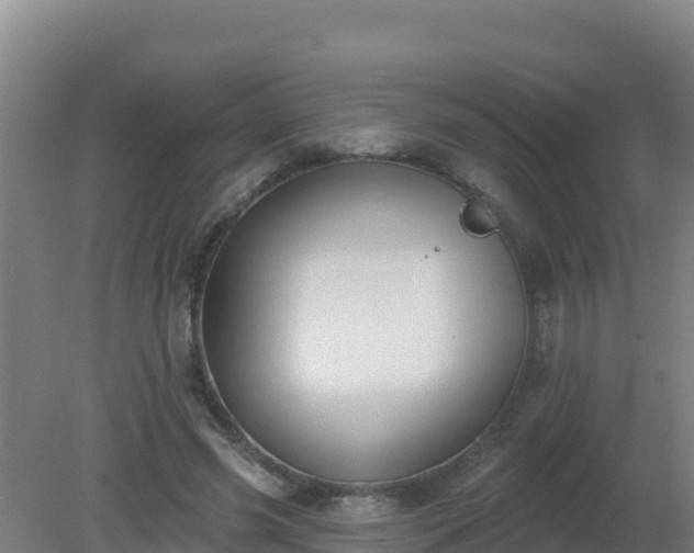 X0000080200541200612152042