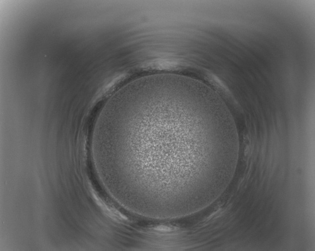 X0000080200542200612152042