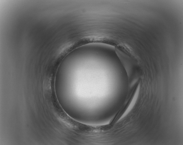 X0000080200543200612152043