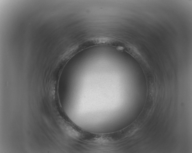 X0000080200545200612152043