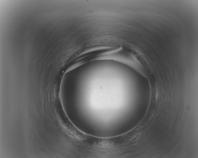 X0000080200546200612152043