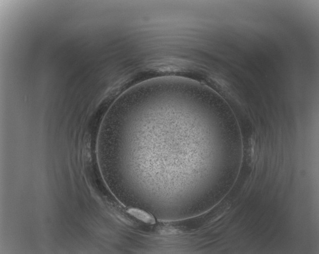 X0000080200547200612152043