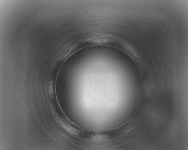 X0000080200549200612152043