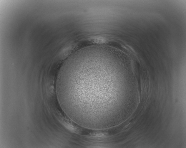 X0000080200553200612152043