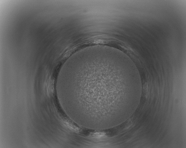 X0000080200554200612152043