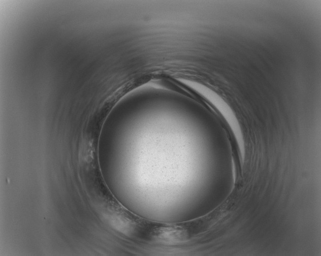 X0000080200555200612152043