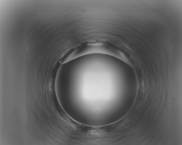 X0000080200556200612152043