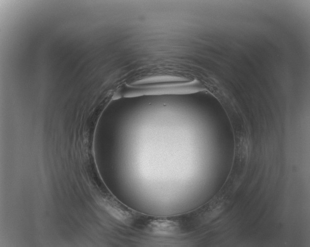 X0000080200557200612152043