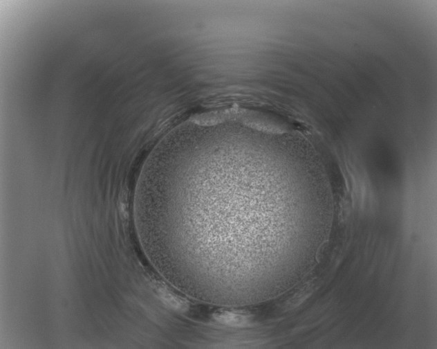 X0000080200561200612152043