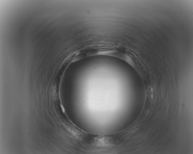 X0000080200564200612152043