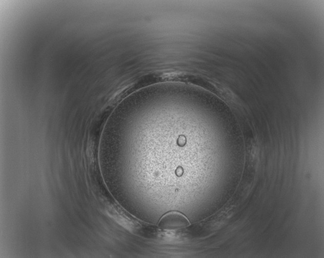 X0000080200565200612152043