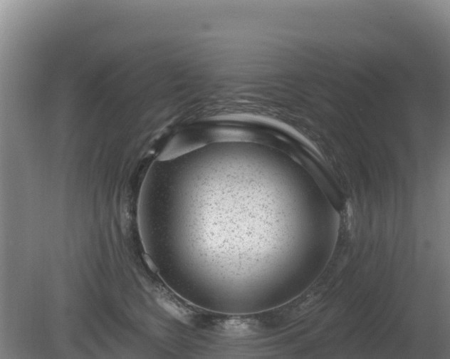 X0000080200566200612152043