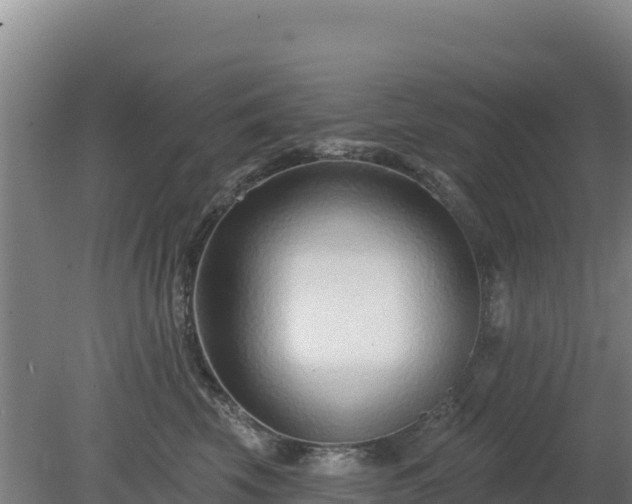 X0000080200569200612152043