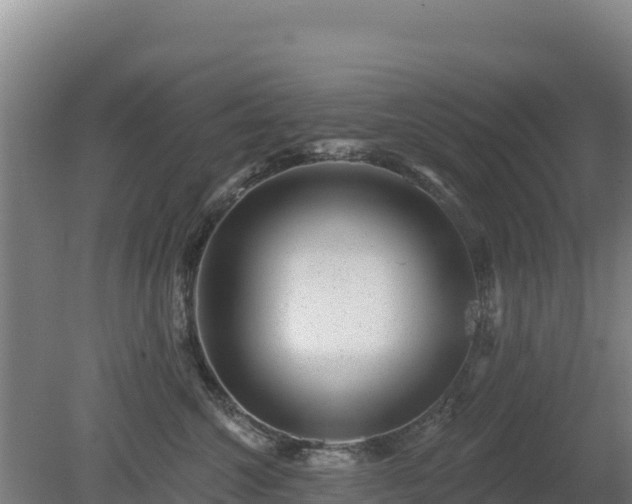 X0000080200572200612152043