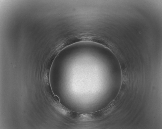 X0000080200573200612152043