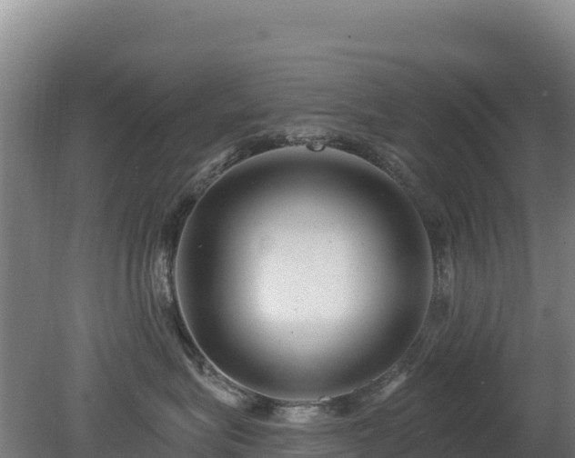 X0000080200575200612152043