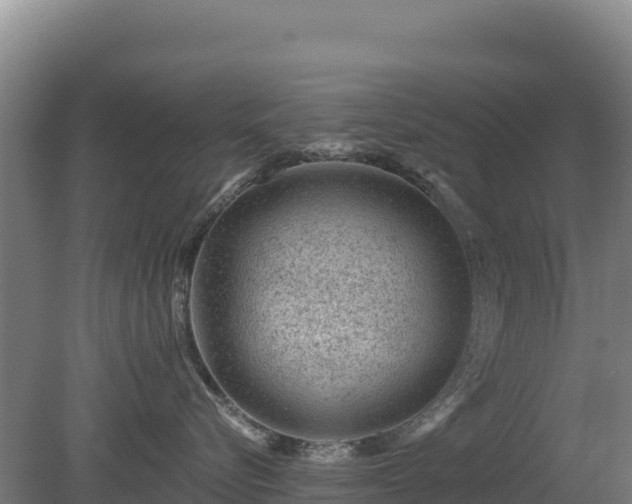 X0000080200576200612152043