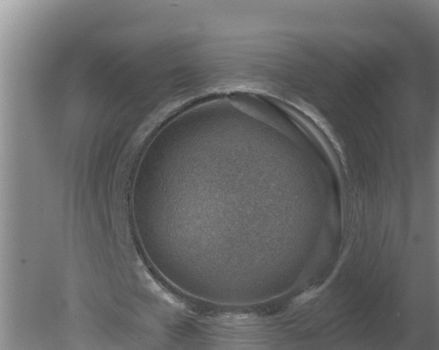 X0000080200577200612152042