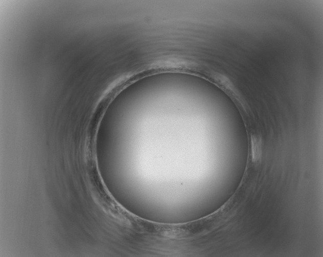 X0000080200579200612152042