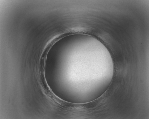 X0000080200583200612152042