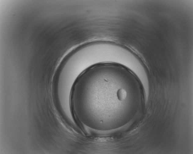 X0000080200584200612152042