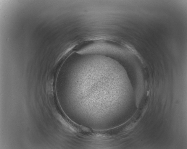 X0000080200585200612152042