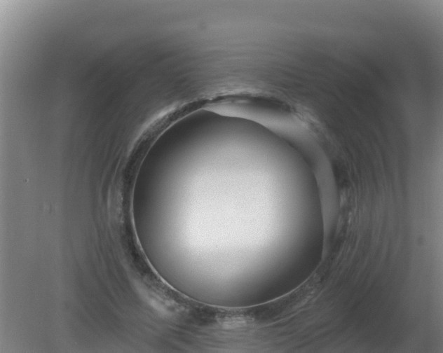 X0000080200587200612152042