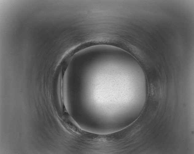 X0000080200588200612152042