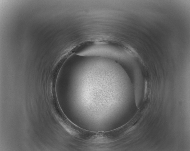 X0000080200589200612152042