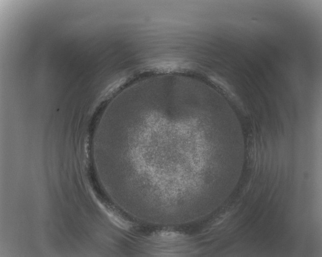 X0000080200590200612152042