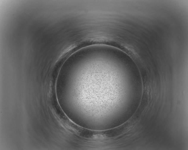 X0000080200591200612152042