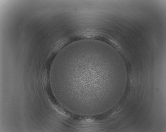 X0000080200594200612152042